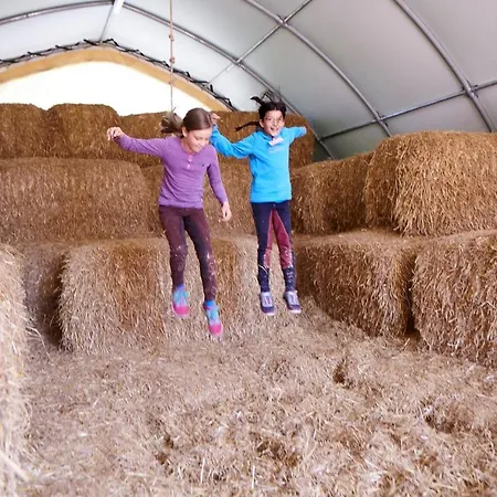 Blaumeise Appartement