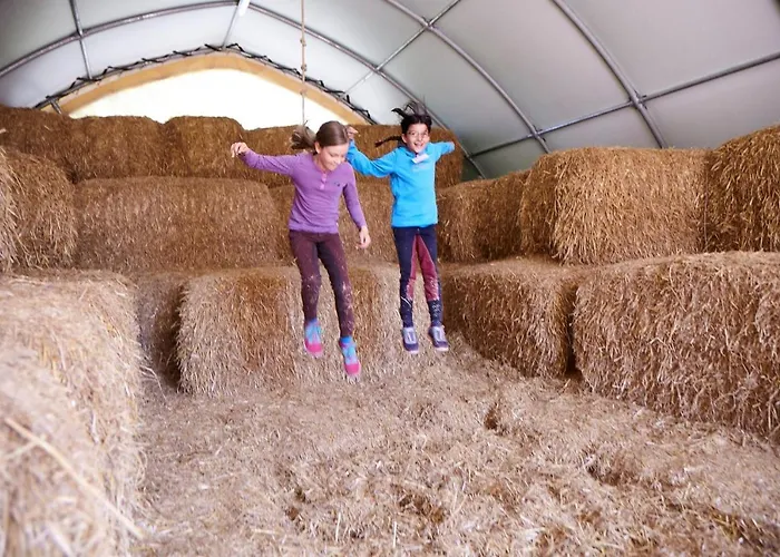 Blaumeise Appartement